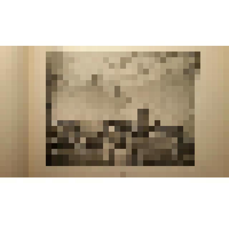 Дом-особняк А.И.Коншиной. Ул. Пречистенка,,16/2. XVIII в. 1867, 1908-1910, 1930 гг. г. Москва. Ул. Пречистенка. Дом-особняк А.И.Коншиной. Альбом. Гунст Анатолий Оттович. Спальня. Общий вид. Фотогр. и худож. фотот. К.А. Фишер, Москва