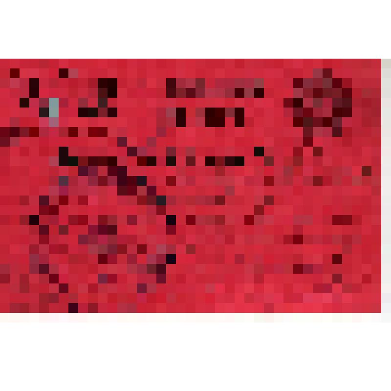 Билет N1179 делегата IX Всероссийского съезда Советов т. Романовского Д.В