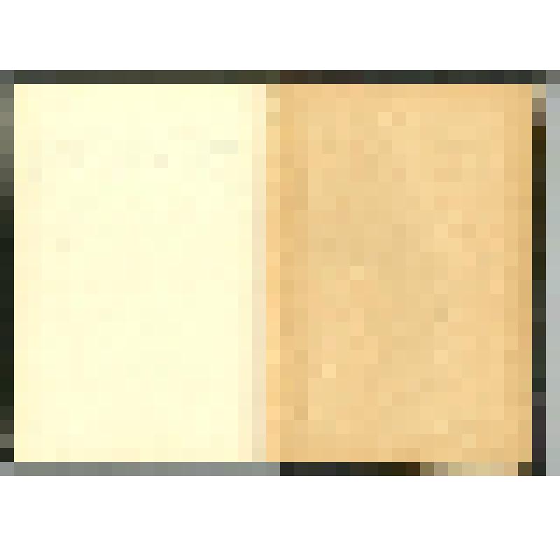 Машинопись. Пир бессмертных. Книги о трудном, жестоком и великолепном времени