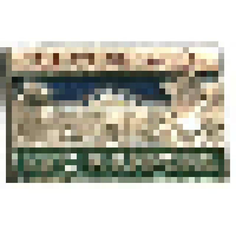 Значок. Ленинград. ЦПКиО им. С.М. Кирова, на булавке. СССР