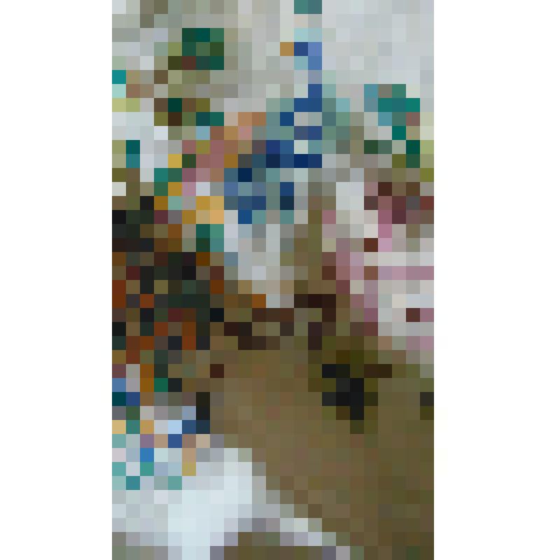 вышивка-рисунок" Жар-птица"