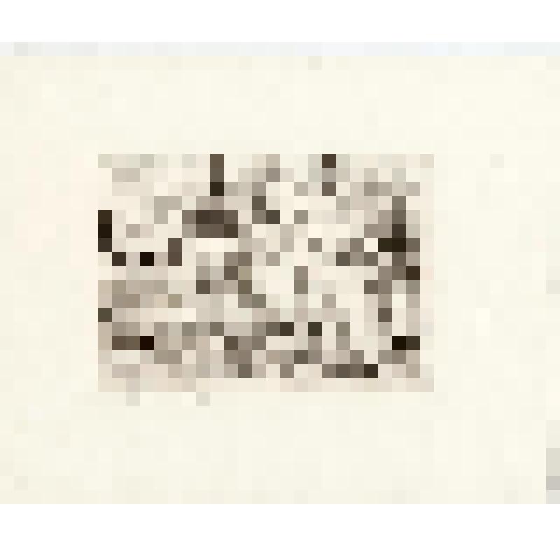 Праздник в Ростове