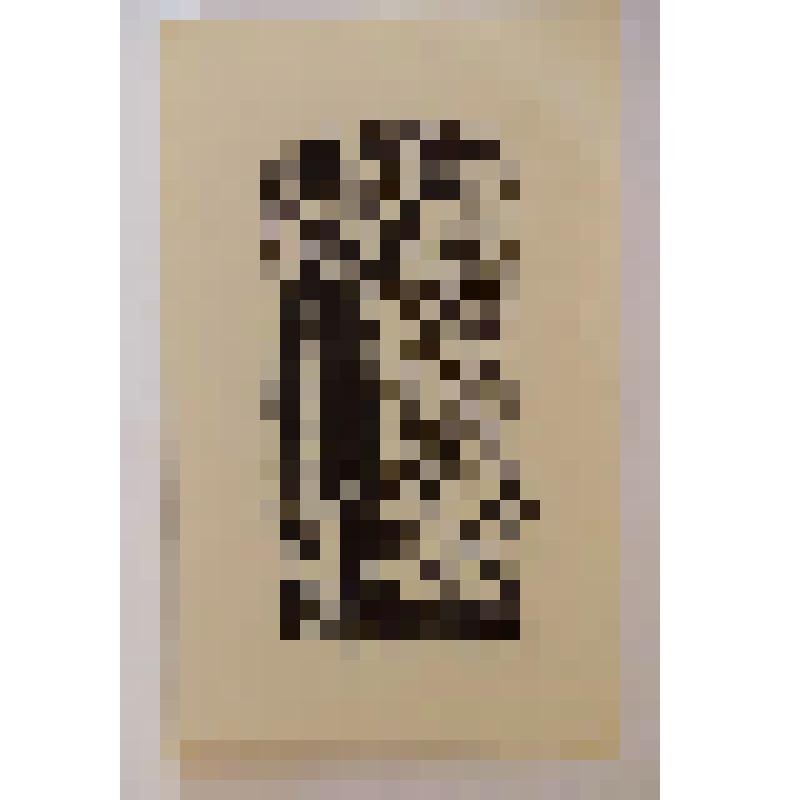 Гравюра. Экслибрис В.С.Полякова. Из Собрания Б.М.Тенина