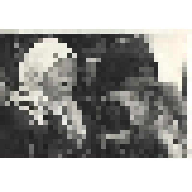 Фотография. Тром-аганские девочки Русскина Наташа и Мултанова Светлана