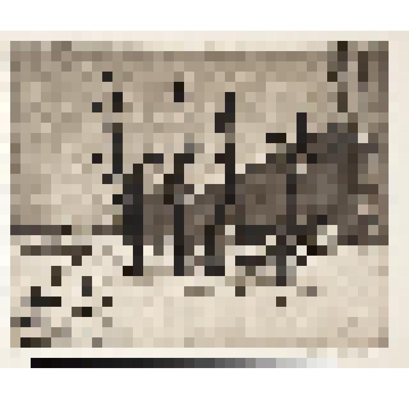 Окраина города, гравюра