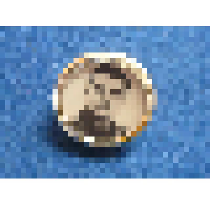 Значок. А.Г.Николаев