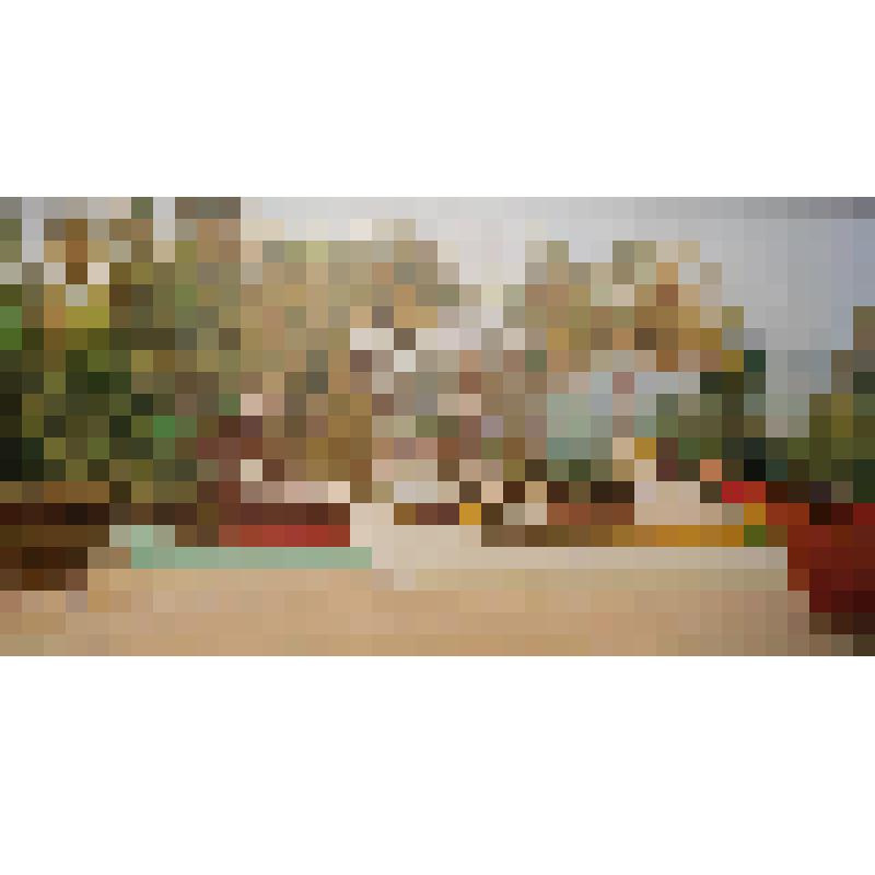 Четвероногий рыбак. Картина