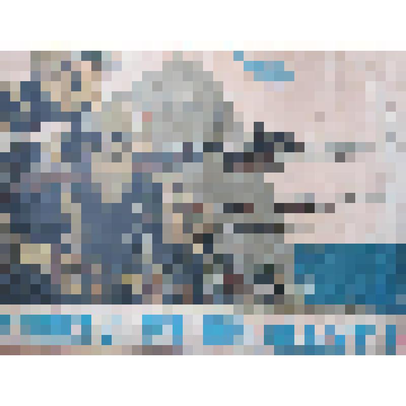 Плакат. Фашисты не пройдут! (Агитационный плакат.)