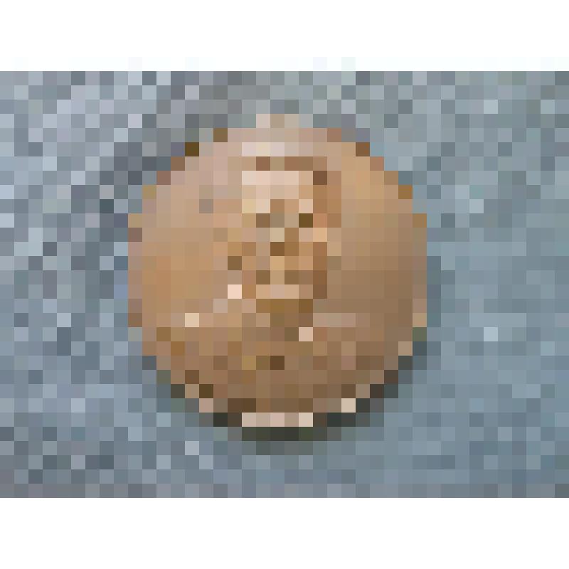 Медаль. 100-летие со дня рождения А.П.Чехова