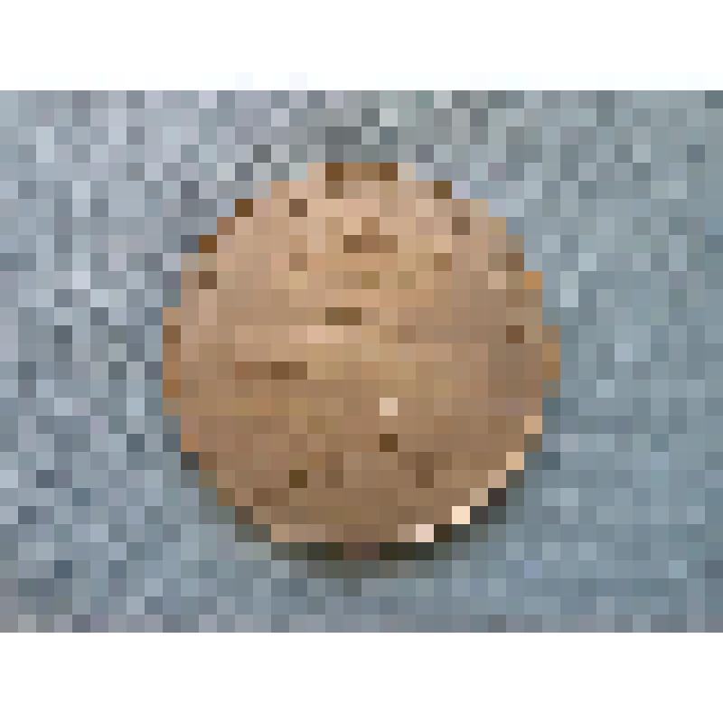 Медаль. 100-летие со дня рождения А.П.Чехова