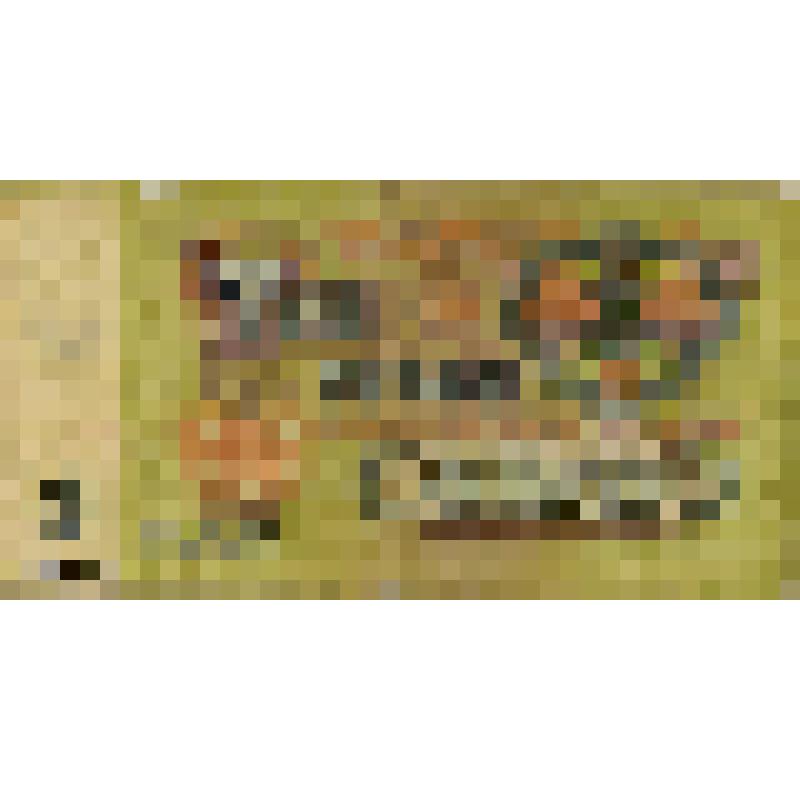 Государственный казначейский билет