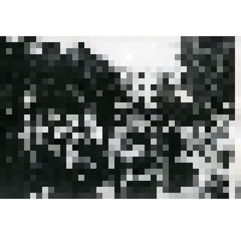 Войны возвращаются в столицу