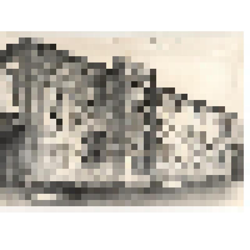 Фотография. Торговый центр в племзаводе Б-Мурашкинский