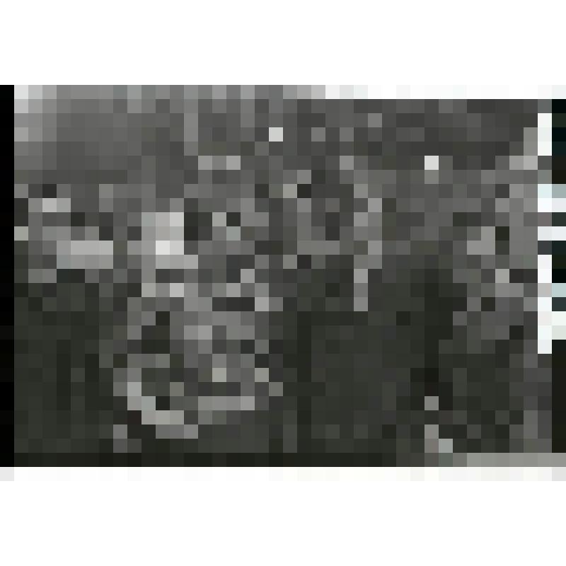 Негатив. Передовая бригада слесарей-сборщиков главного конвейера ЧТЗ