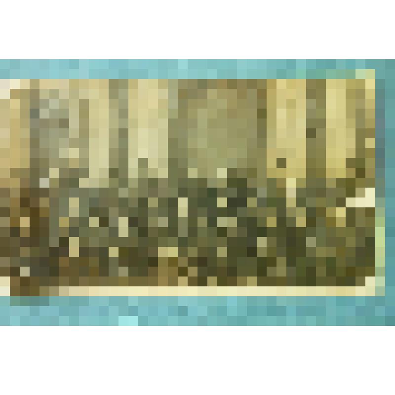 Фотография групповая