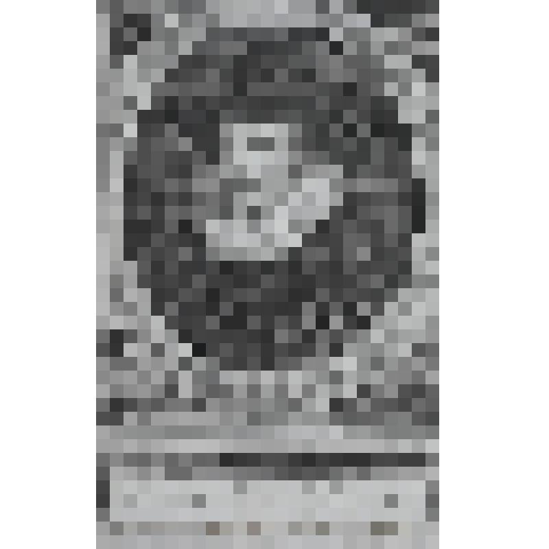 Портрет лорда-хранителя Уильямса