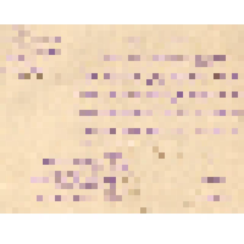 Удостоверение