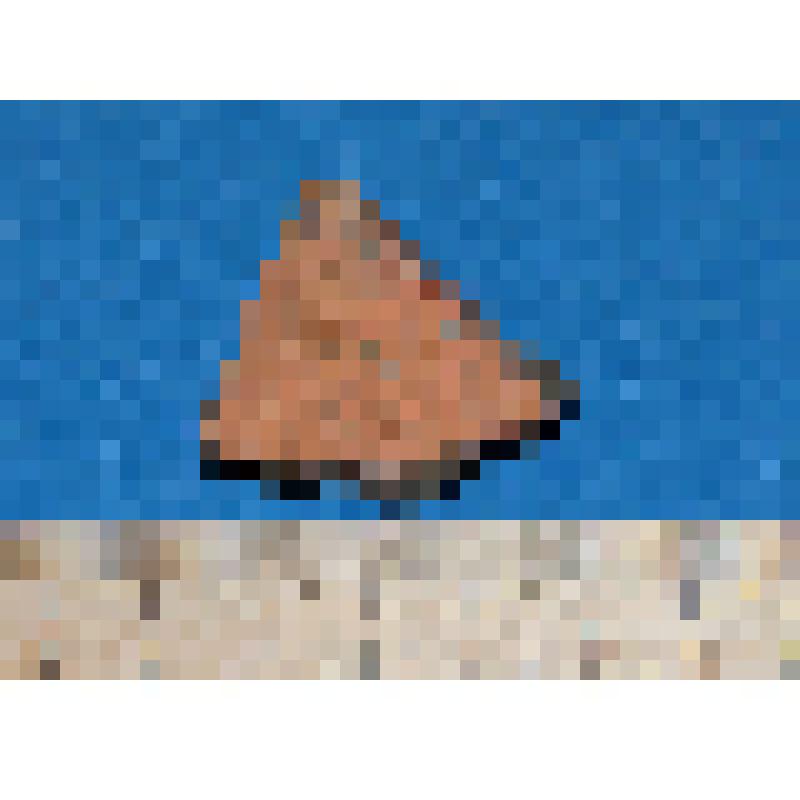 Стенки сосуда лепного серого цвета фрагмент