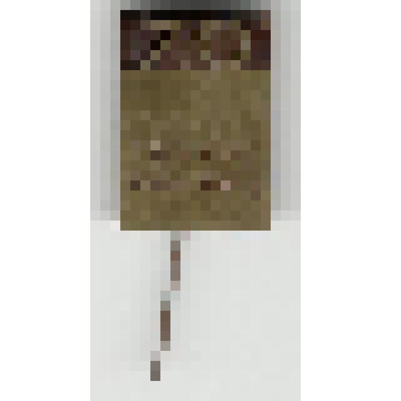 Значок. Янонис Юлюс. 70-летие со дня рождения, на иголке. СССР