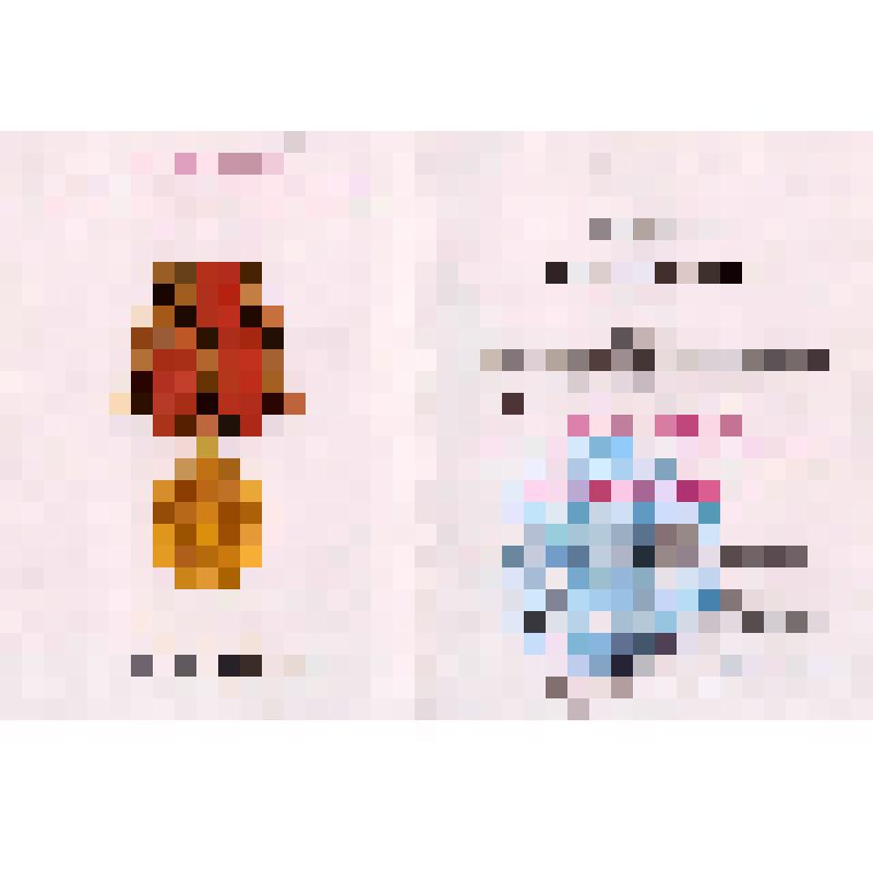 Удостоверение А № 7059983 к юбилейной медали «60 лет Победы в Великой Отечественной войне 1941 — 1945 гг.» на имя Кащеевой Валентины Константиновны. Выдано 18.02.2005 г