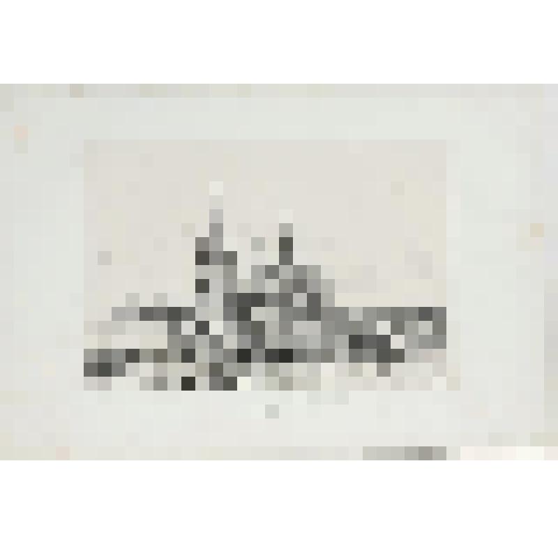 Литография. "Москва. Успенская церковь (Церковь Святителя Николая в Хамовниках)."