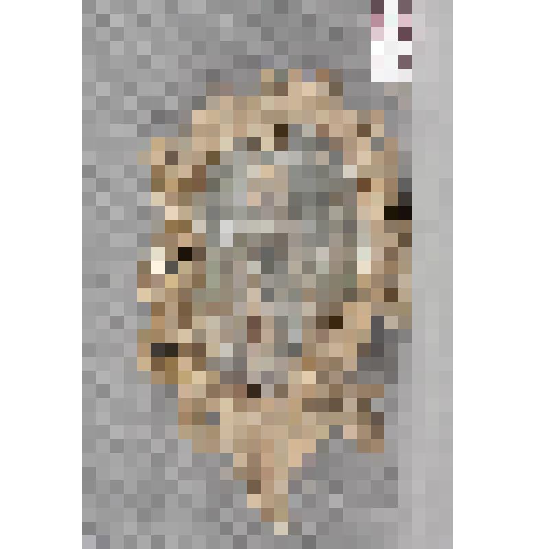 Картуш с иконой "Пресвятая Богородица"