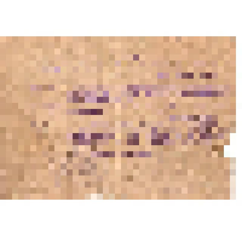 Личное дело Горшенина Петра Николаевича за № 114