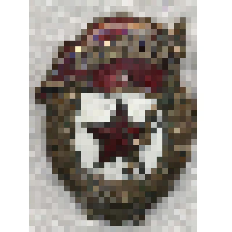 Знак нагрудный. Гвардия