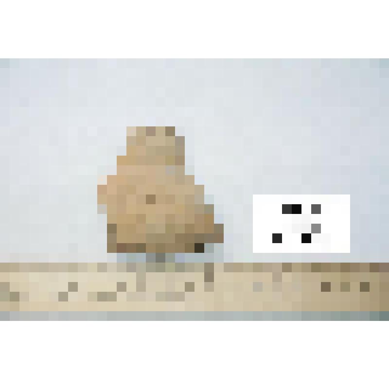 Фрагмент горла кружки с туловом