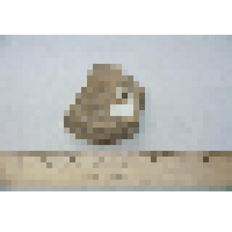 Фрагмент горла кружки с туловом