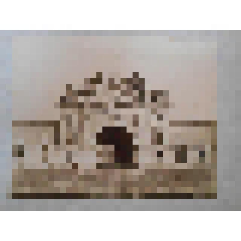 Бельгия, г. Антверпен. Ворота укрепления. Общ. вид. G. H. phot