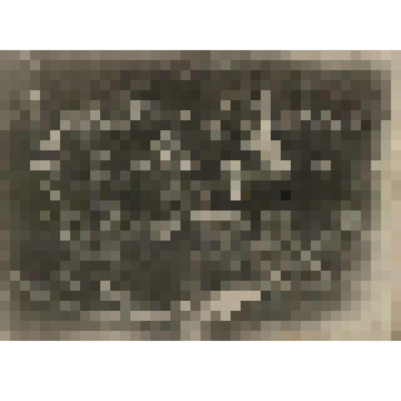 Фотография. Участники пленума Угличского уездного исполкома