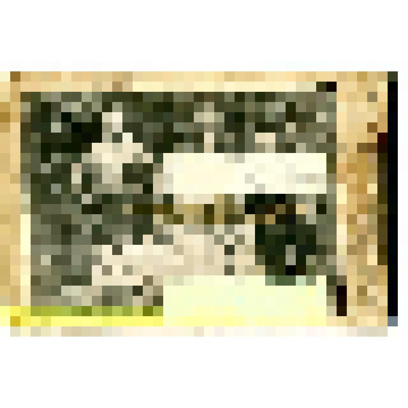 Фотография И.Е. Гольман с семьёй