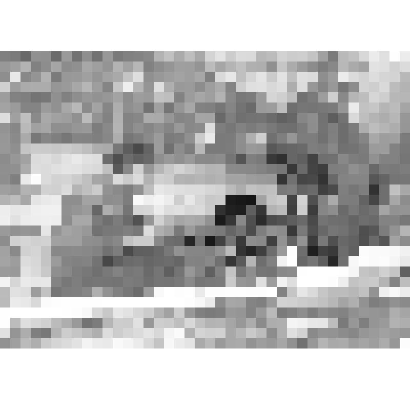 Момент сварки металлических конструкций для скелета трогонтериевого слона