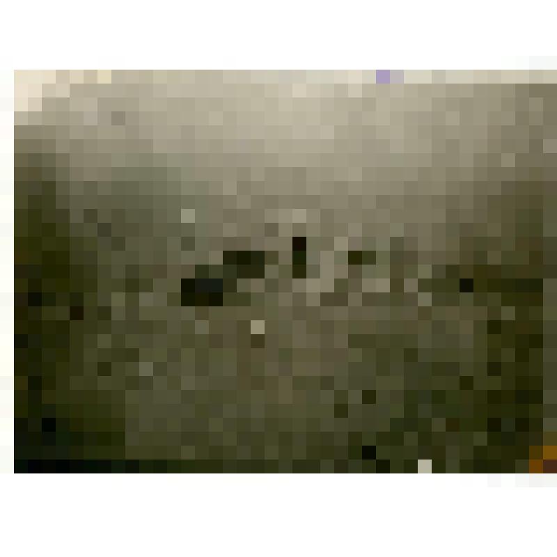 Фотография. Поварня близ Тикси