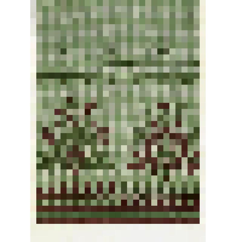 Таблица-зашивка в характере русской народной вышивки центральных областей (Владимирская область). Из альбома зашивок "Сочетание традиционной вышивки и кружева с тканями различных структур, гладкокрашенными, пёстроткаными, набивными и новыми отделочными ма