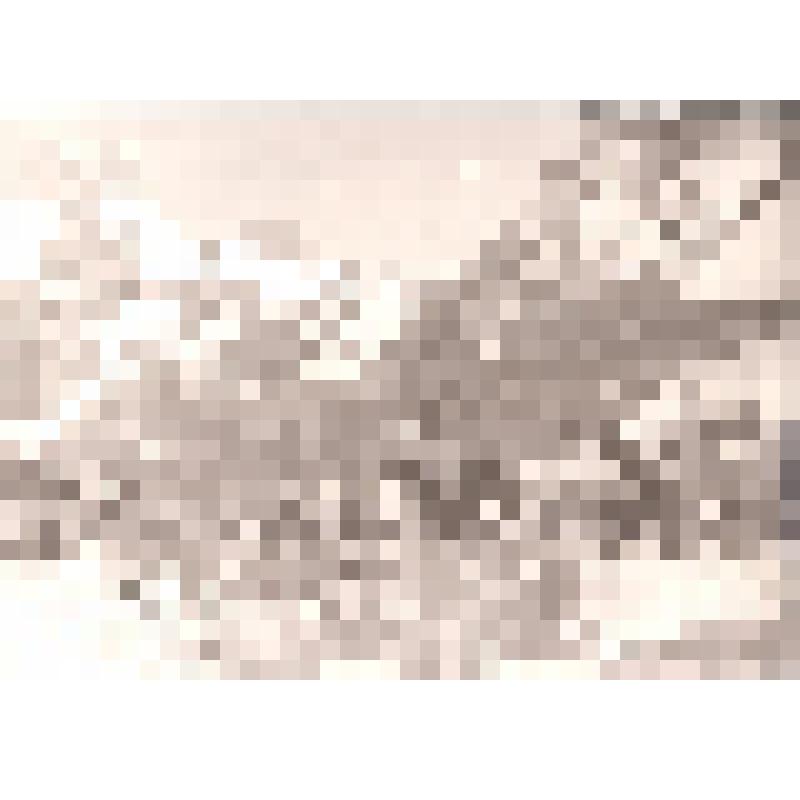 Фотография. Художники Гречишкин П. М. и Черненко А. И. остановились в горах по пути на Клухорский перевал. Рядом ослы с поклажей. На фоне горных вершин