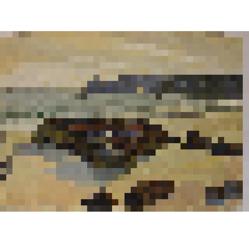 Пейзаж в Камаре-сюр-мер