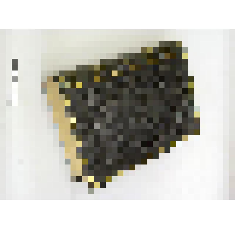 Продолжение свода законов Российской империи: По 31 декабря 1888 года. Книга