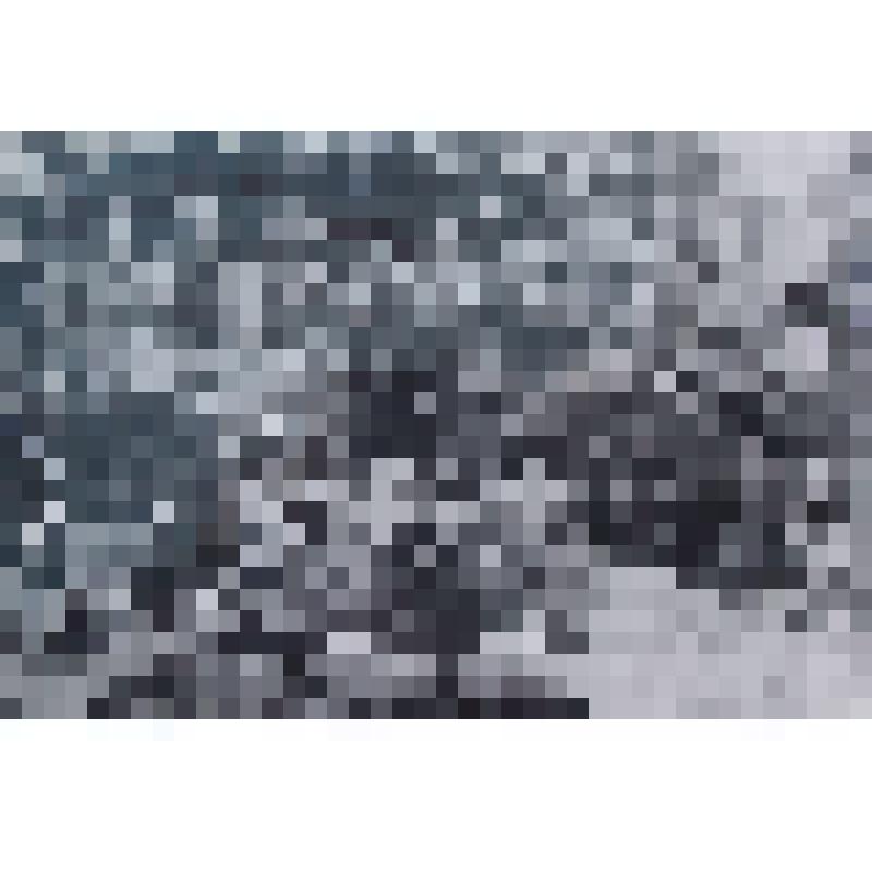 Фотография черно-белая