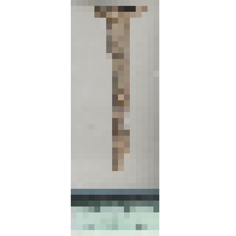 Гвоздь кованый железный