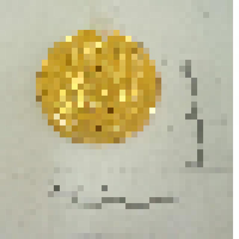 Медаль лыжный марафон "Азия-Европа-Азия" Лобынцева Николая Яковлевича