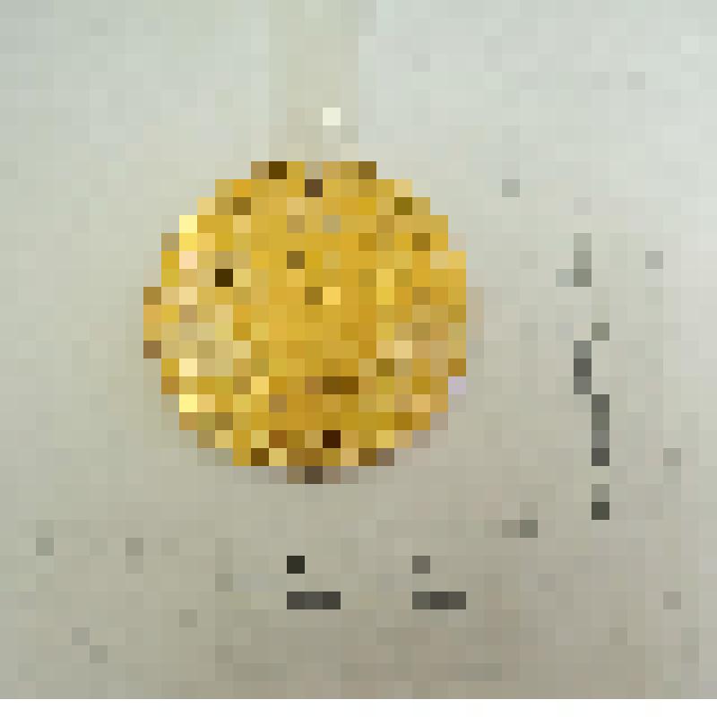 Медаль лыжный марафон "Азия-Европа-Азия" Лобынцева Николая Яковлевича