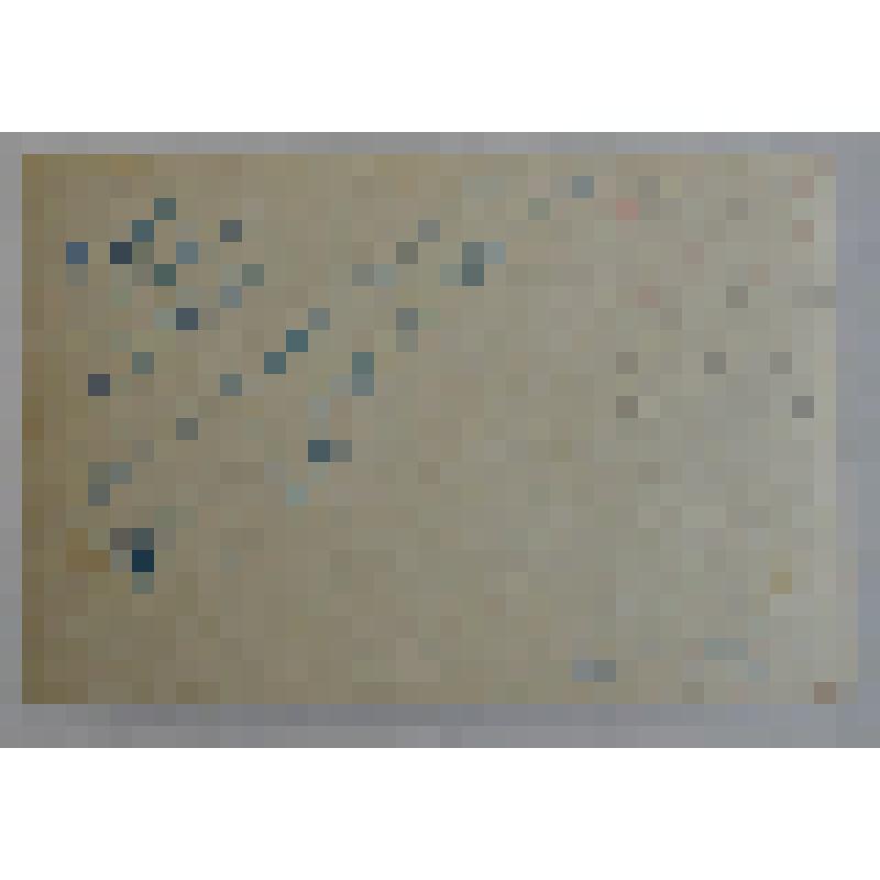 Фотография сюжетная. В. Инбер и сочинские комсомольцы в гстях у Островского Н.А. Сочи. 1935г