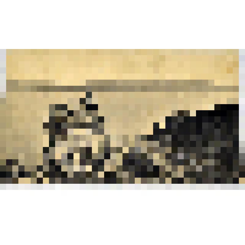 Карточка почтовая. Волга с Жигулей