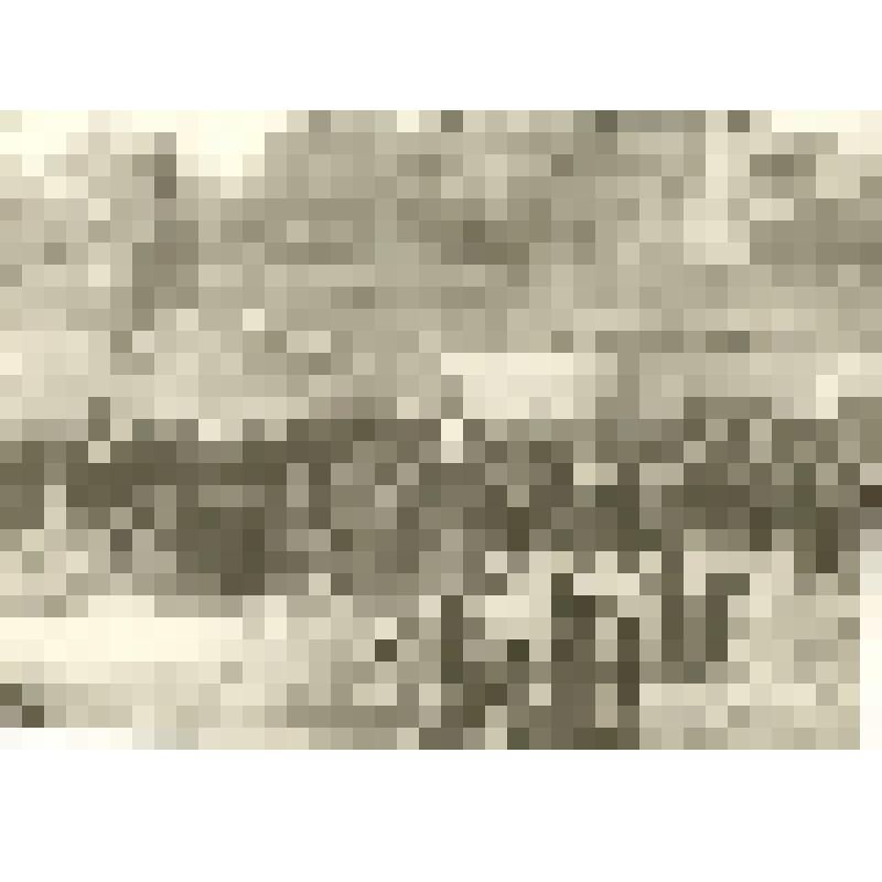 Открытие памятника Ленину В.И. по улице Ленина