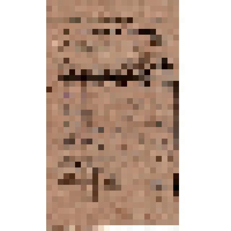 Ежемесячные сведения о работе члена РКП(б) Карасевой Л.Е