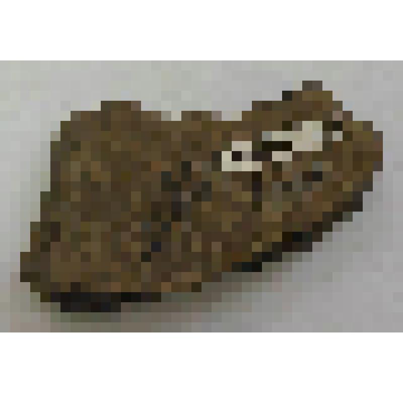 Фрагмент стенки сосуда