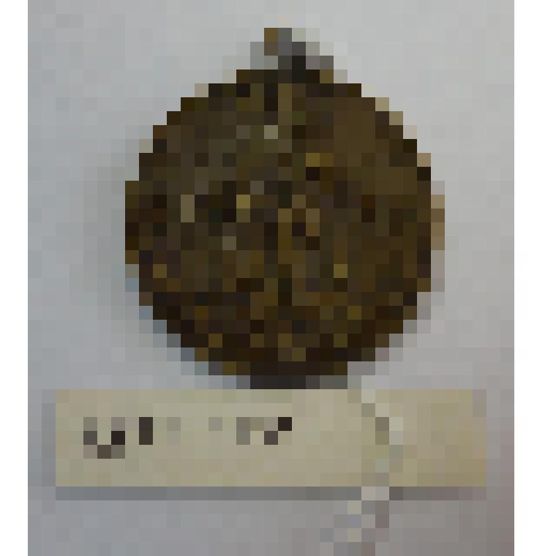 Медаль "XX лет Победы в Великой Отечественной Войне 1941-1945 г.г."