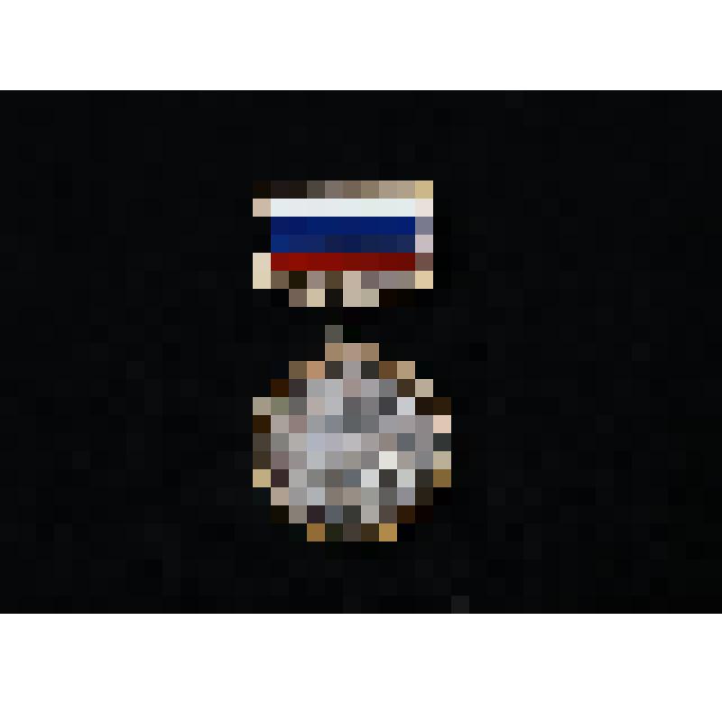 Медаль  «За заслуги в боевых искусствах». Коржикова Олега Николаевича. Из коллекции Коржикова Олега Николаевича, кадрового военного, полковника в запасе, участника боевых действий в Закавказье, Председателя Астраханского регионального отделения Всероссийс